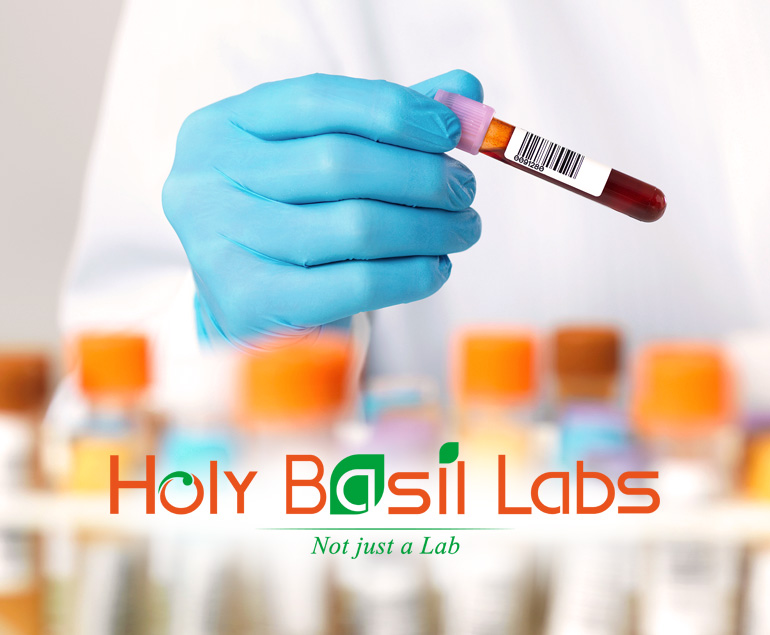 Holy Basil Labs